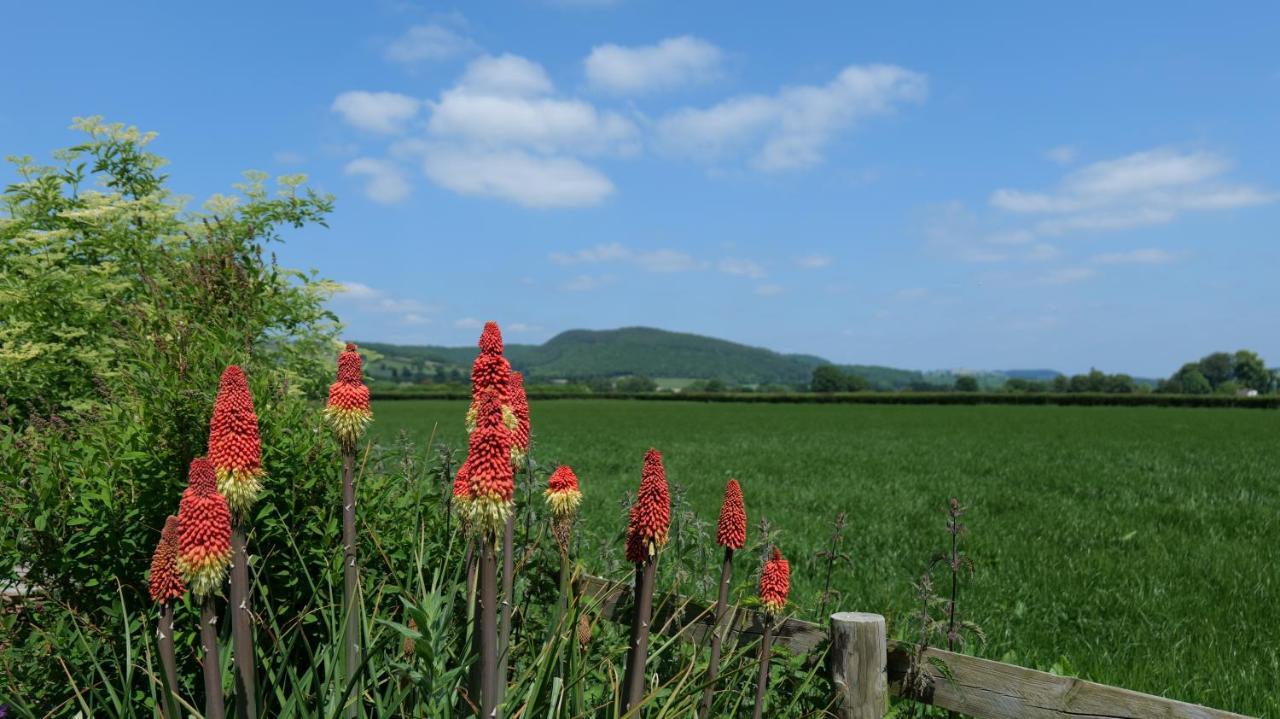 Country Cottage With Far Reaching Views Presteigne Exteriör bild
