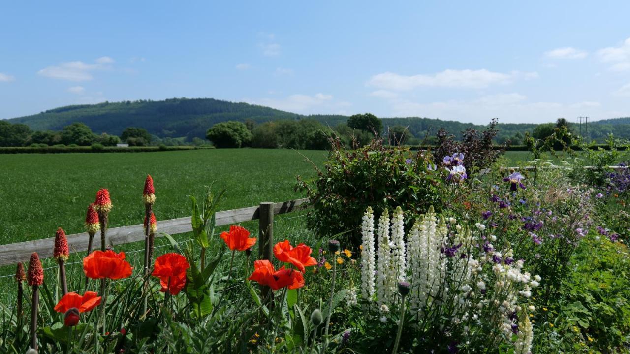 Country Cottage With Far Reaching Views Presteigne Exteriör bild